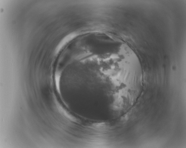 X0000060790054200511241855