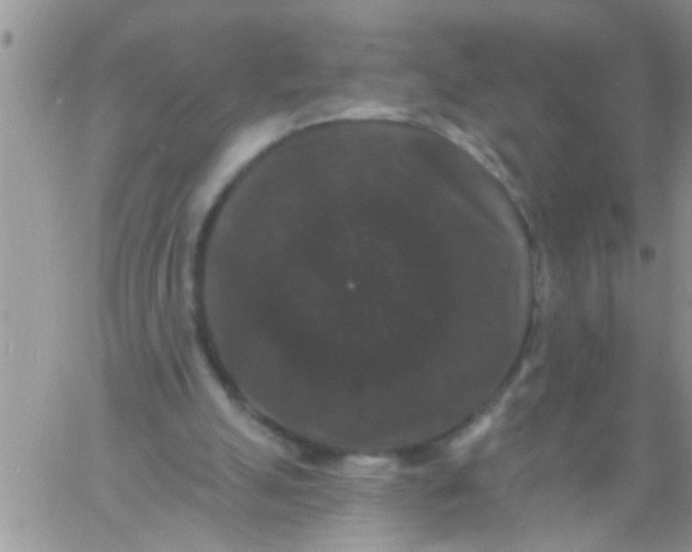 X0000060790055200511241855