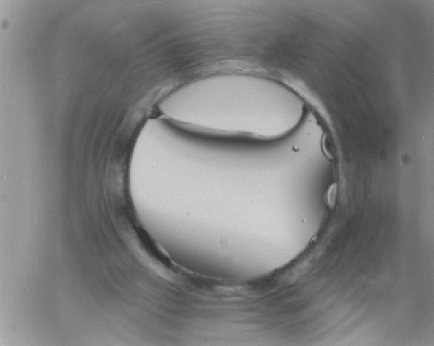 X0000060790057200511241855