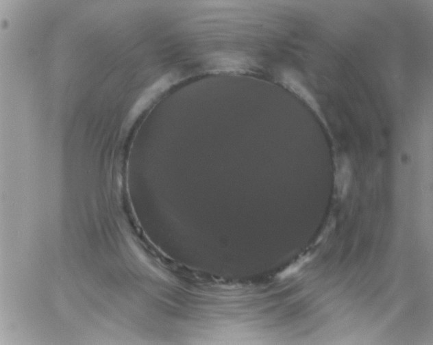 X0000060790059200511241855