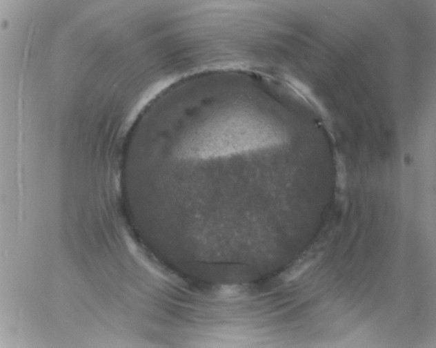 X0000060790060200511241855