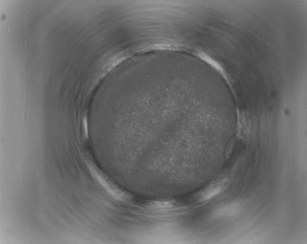 X0000060790061200511241855