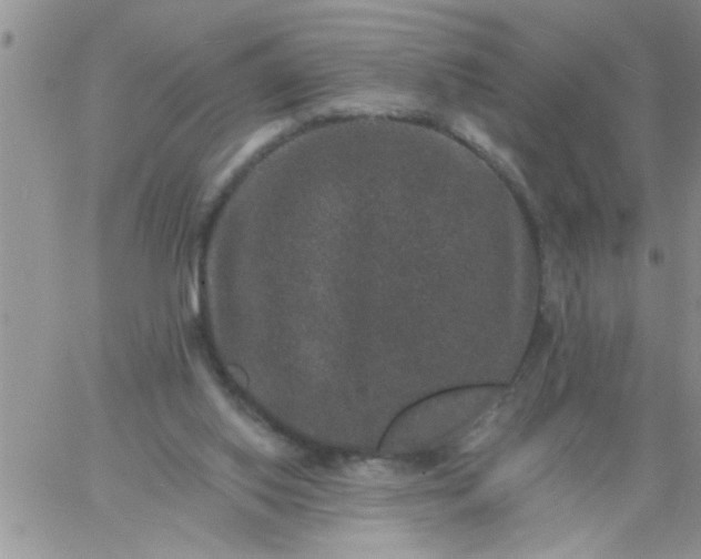 X0000060790062200511241855