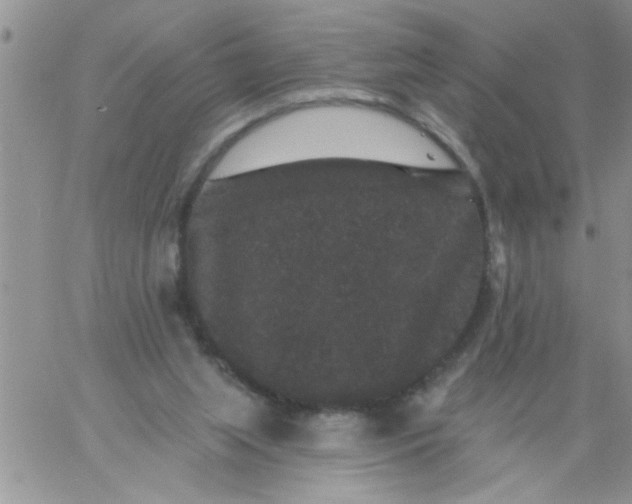 X0000060790063200511241855