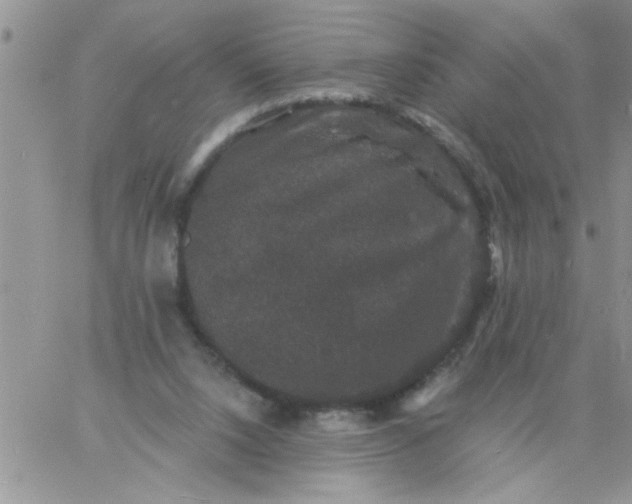 X0000060790064200511241855