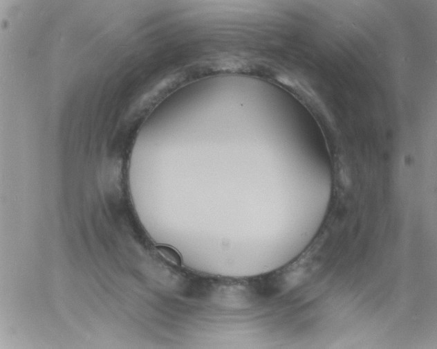 X0000060790066200511241855