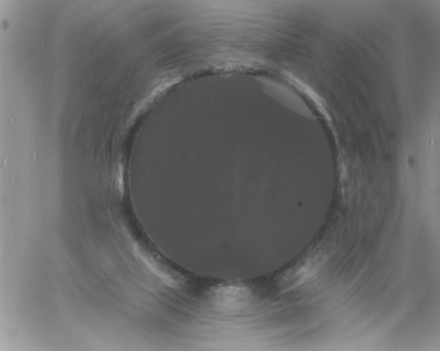 X0000060790067200511241855