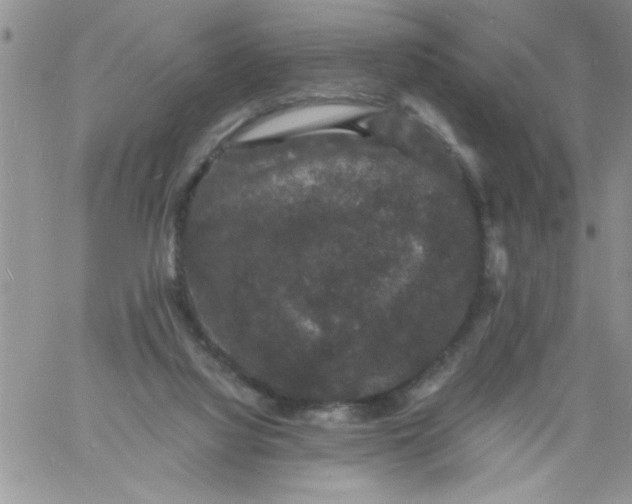 X0000060790068200511241855