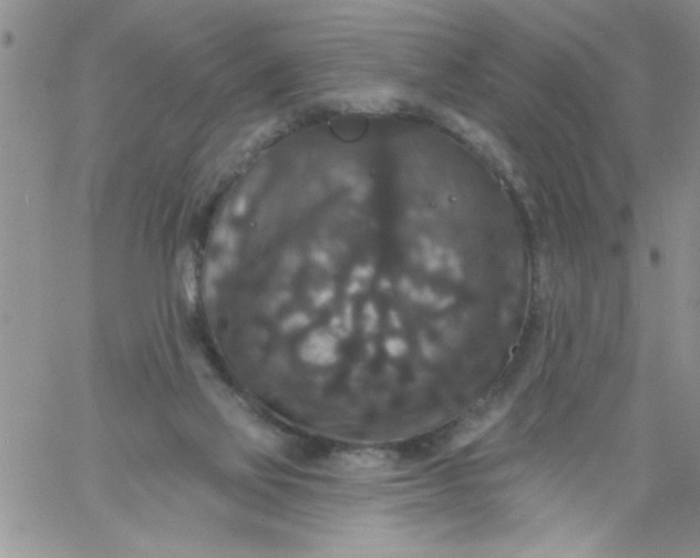 X0000060790069200511241855