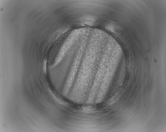 X0000060790070200511241855