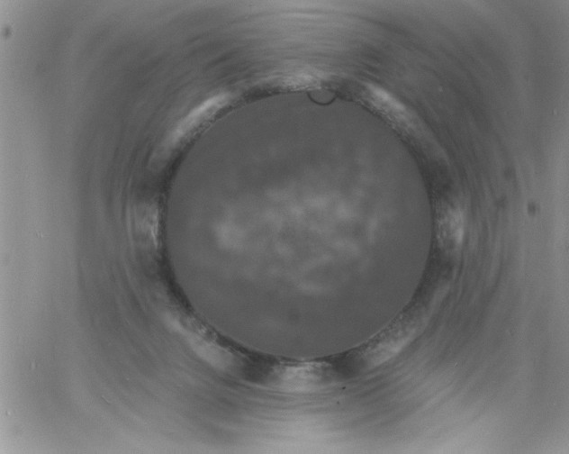 X0000060790072200511241855