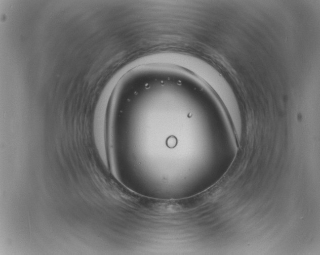 X0000060790073200511241855