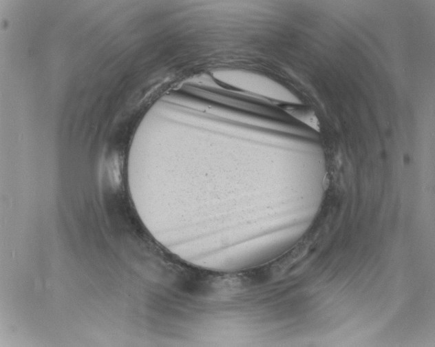 X0000060790075200511241856