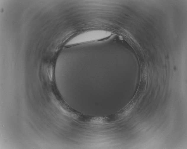 X0000060790076200511241856