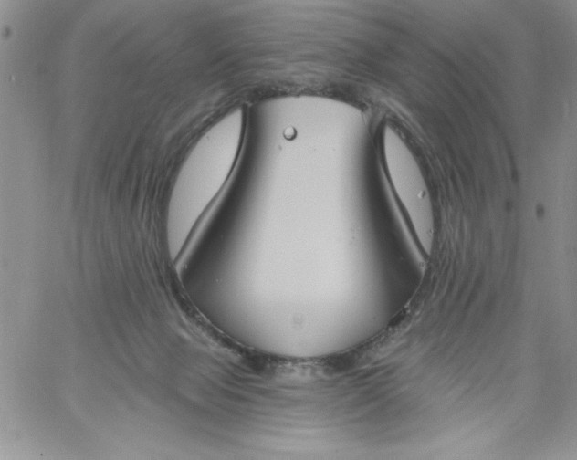 X0000060790077200511241856