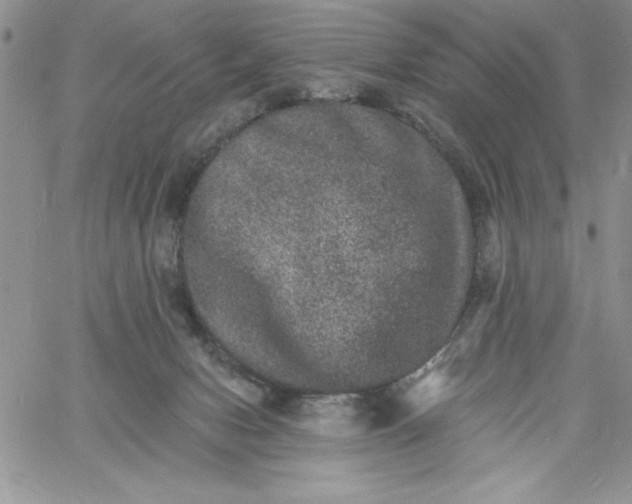 X0000060790078200511241856