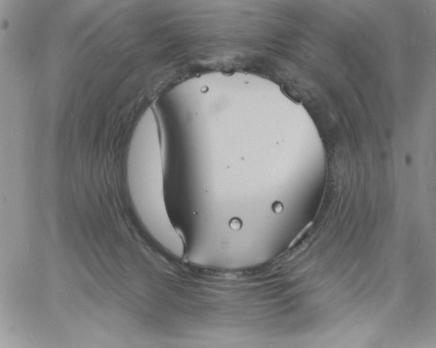 X0000060790079200511241856