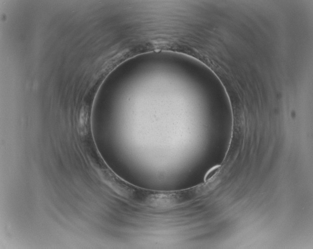 X0000060790082200511241856