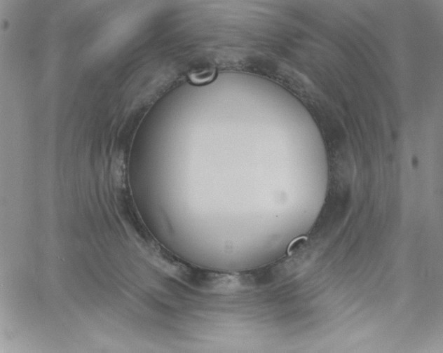 X0000060790083200511241856