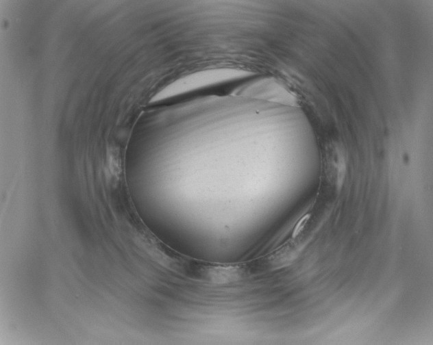 X0000060790085200511241856