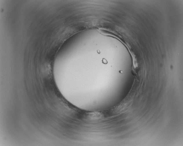 X0000060790087200511241856