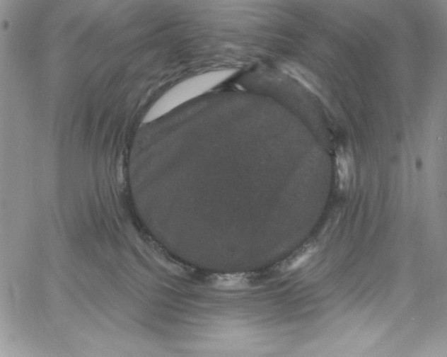 X0000060790088200511241856