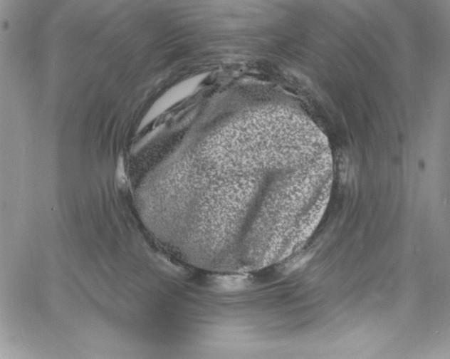 X0000060790089200511241856