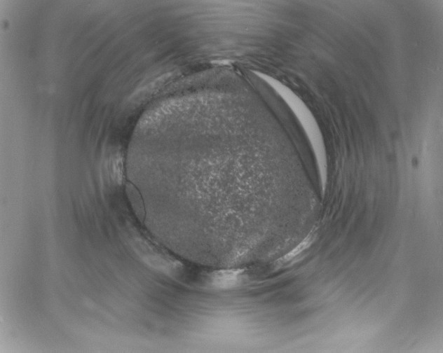 X0000060790090200511241856