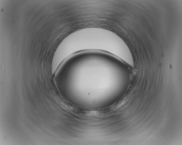 X0000060790091200511241856