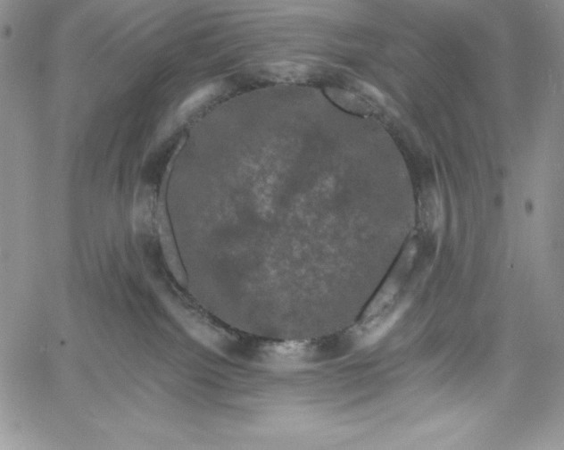 X0000060790092200511241856