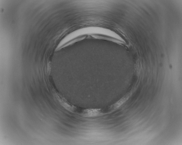 X0000060790093200511241856