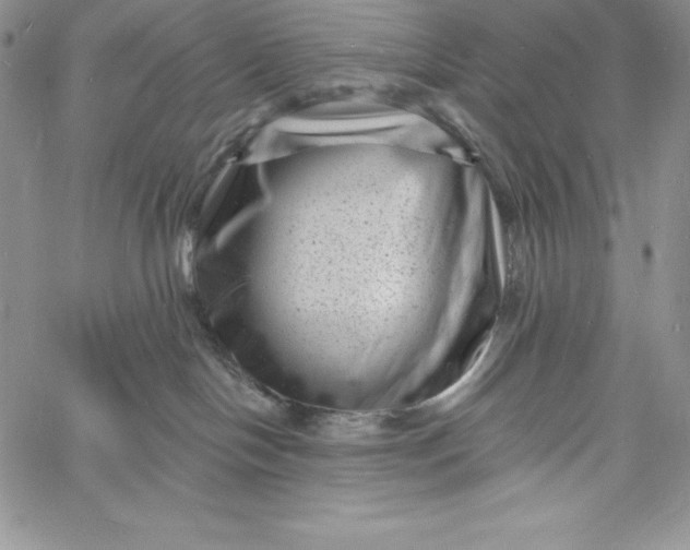 X0000060790094200511241856