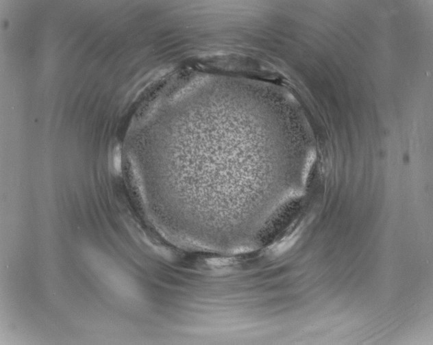 X0000060790095200511241856