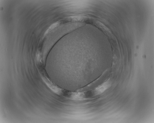 X0000060790096200511241856