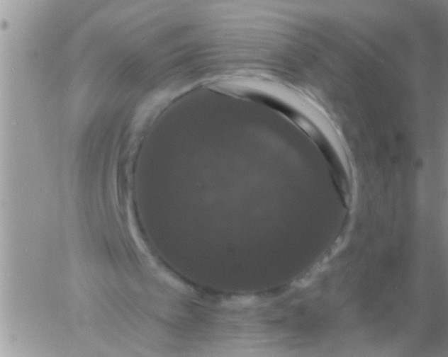 X0000060790097200511241855