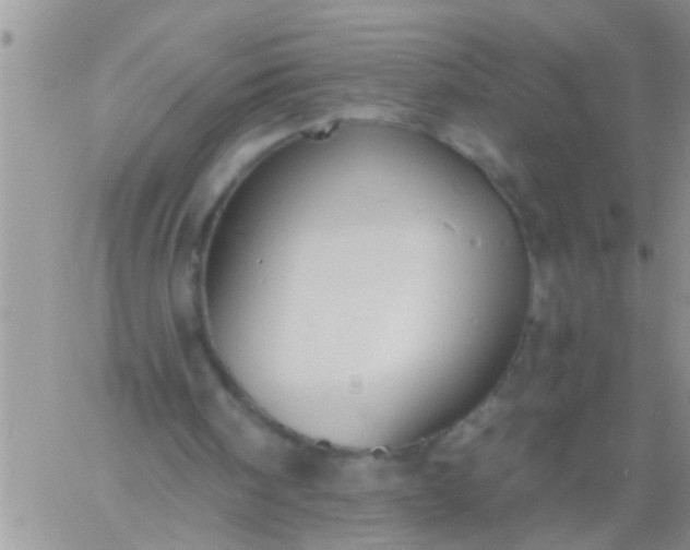 X0000060790098200511241855