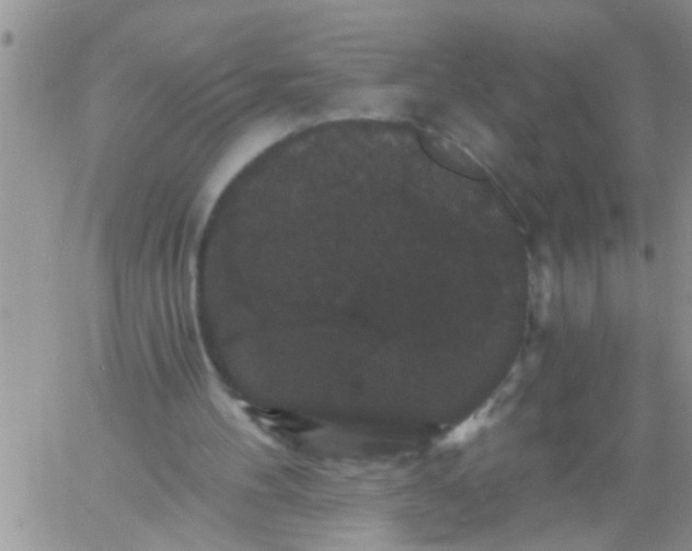 X0000060790100200511241855