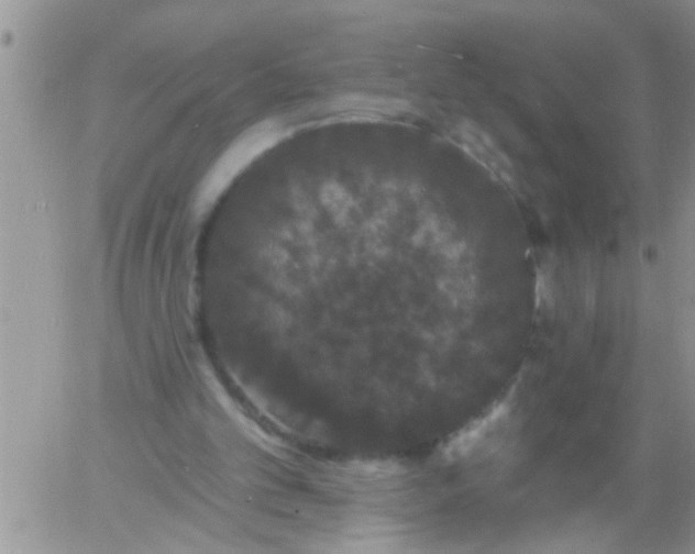 X0000060790101200511241855