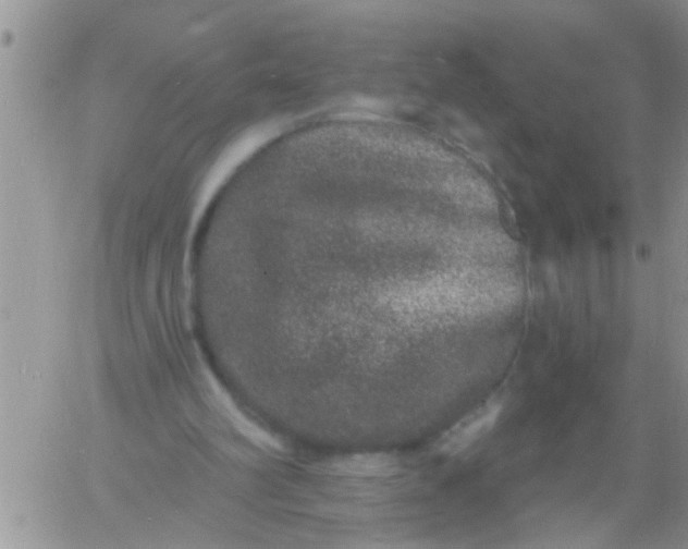 X0000060790102200511241855