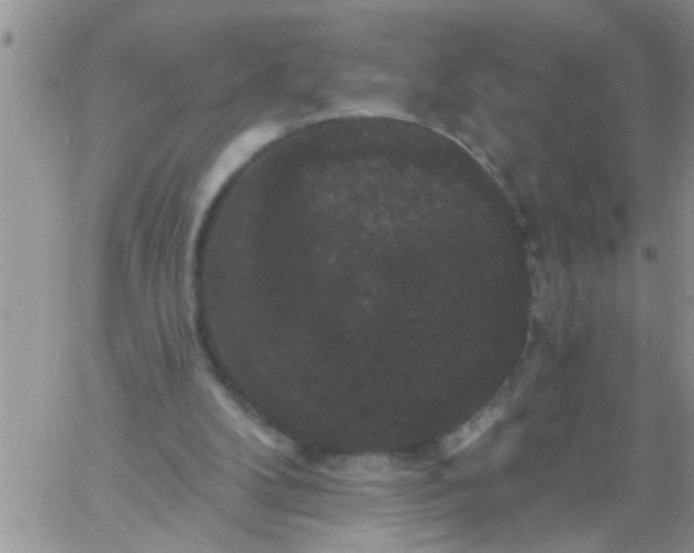 X0000060790104200511241855