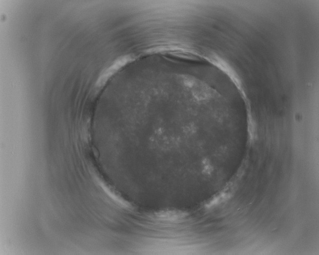 X0000060790105200511241855