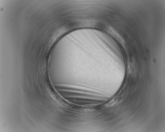 X0000060790107200511241855