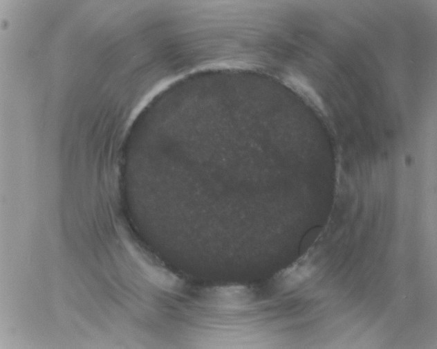 X0000060790108200511241855