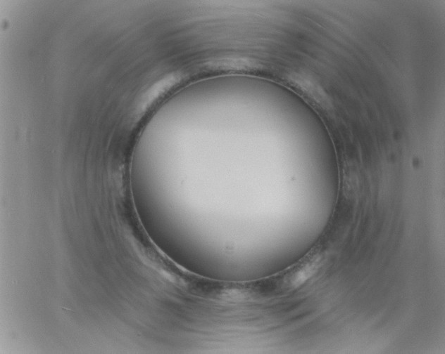 X0000060790111200511241855