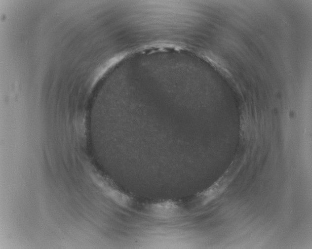 X0000060790112200511241855