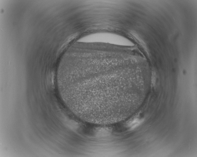 X0000060790115200511241855