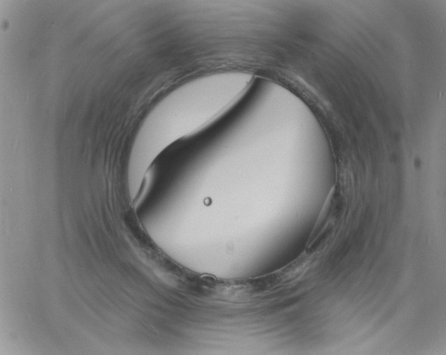 X0000060790117200511241855