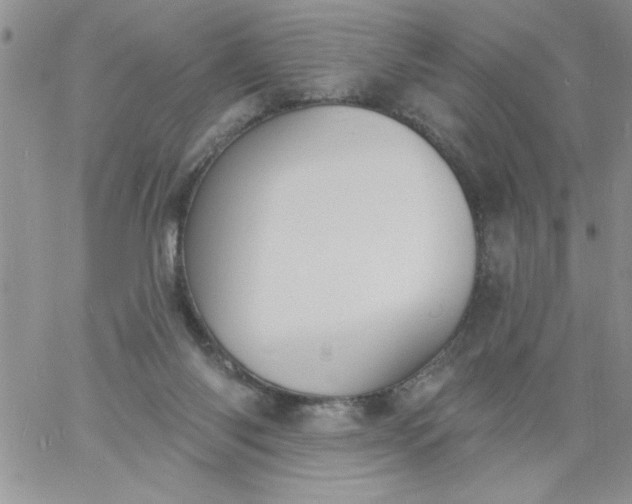 X0000060790118200511241855