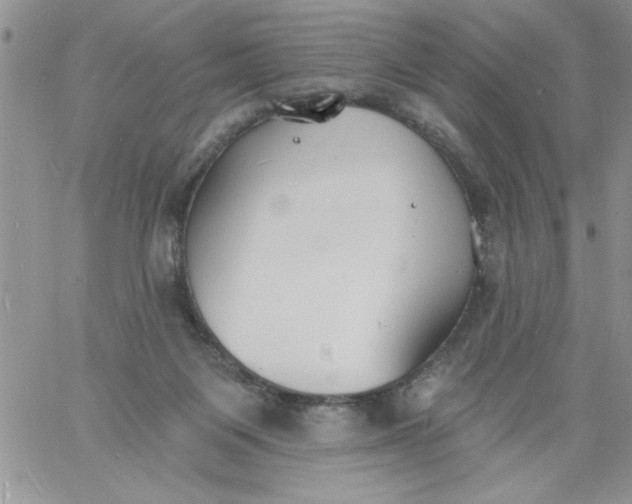 X0000060790119200511241855