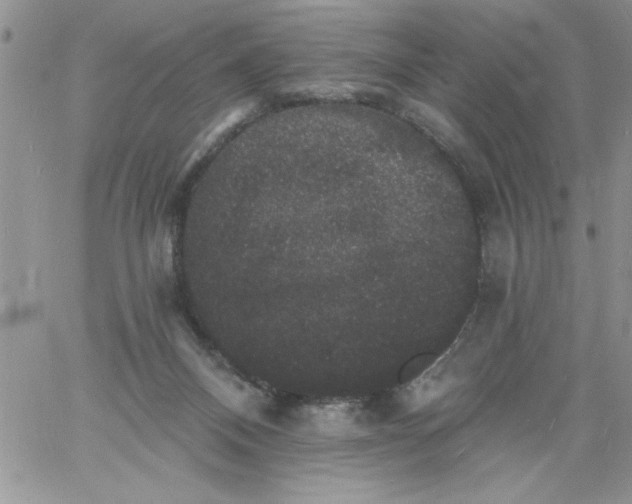 X0000060790120200511241855